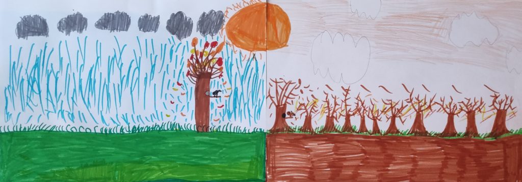 Illustration sur l'automne: dessins d'élèves